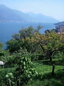 Alto Lario Nature tourist guide lake como